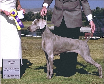 katie bob 1.jpg - 99.9 K